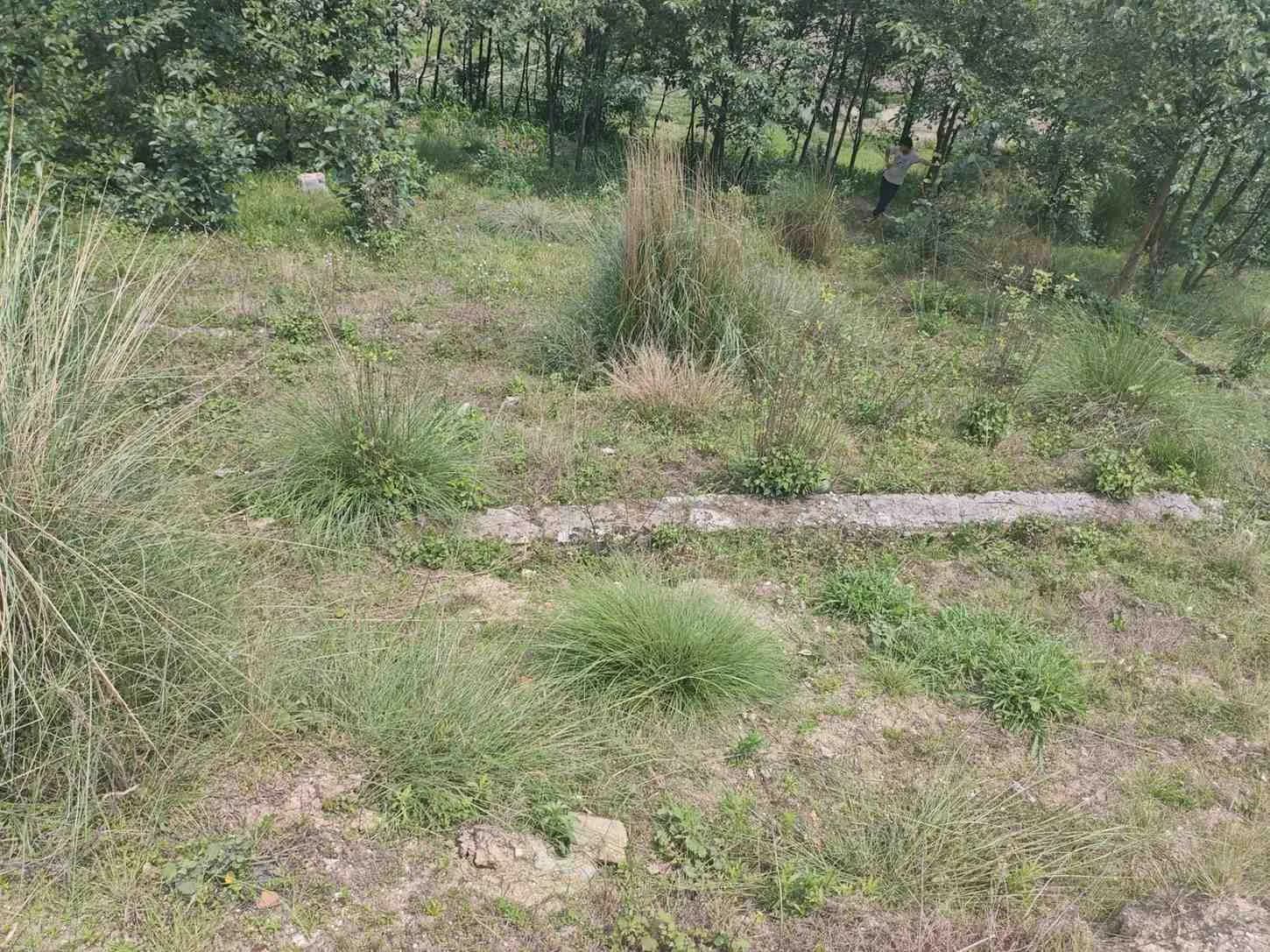 Urgent Road Access Land for Sale at Sankhu, Kathmandu